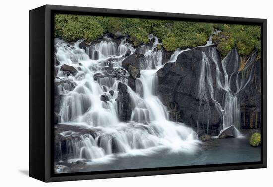 Iceland, Hraunfossar. Tiny cascades emerge from the lava to flow into the Hvita River-Ellen Goff-Framed Stretched Canvas