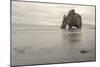 Iceland, Hvitserkur. This sea stack or monolith represents a legend that it was a troll-Ellen Goff-Mounted Photographic Print