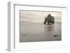 Iceland, Hvitserkur. This sea stack or monolith represents a legend that it was a troll-Ellen Goff-Framed Photographic Print