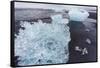 Iceland, Iceberg on Beach-Gavriel Jecan-Framed Stretched Canvas