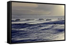 Iceland, Iceland, North-East, Region of Myvatn, Winter Tower, Weather, Stormily, Wind Near the Lake-Bernd Rommelt-Framed Stretched Canvas