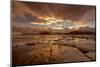 Iceland, Iceland, the East, Ostisland, Coast with Papafjördur, Lonsvik-Bernd Rommelt-Mounted Photographic Print