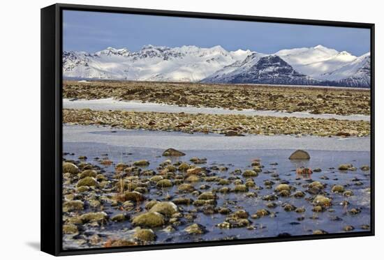 Iceland, Iceland, the South, Moss Padding, Skaftafell, Skaftafell National Park-Bernd Rommelt-Framed Stretched Canvas