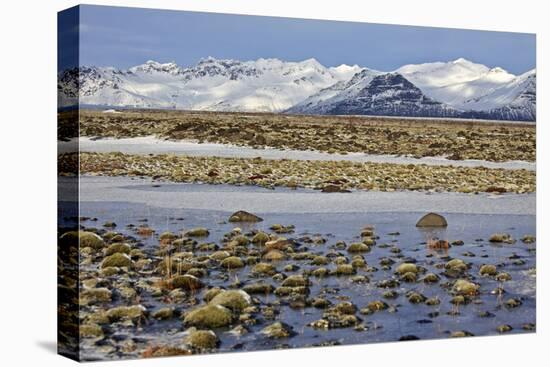 Iceland, Iceland, the South, Moss Padding, Skaftafell, Skaftafell National Park-Bernd Rommelt-Stretched Canvas