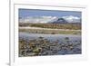 Iceland, Iceland, the South, Moss Padding, Skaftafell, Skaftafell National Park-Bernd Rommelt-Framed Photographic Print