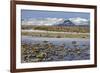 Iceland, Iceland, the South, Moss Padding, Skaftafell, Skaftafell National Park-Bernd Rommelt-Framed Photographic Print