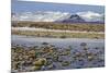 Iceland, Iceland, the South, Moss Padding, Skaftafell, Skaftafell National Park-Bernd Rommelt-Mounted Photographic Print