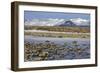 Iceland, Iceland, the South, Moss Padding, Skaftafell, Skaftafell National Park-Bernd Rommelt-Framed Photographic Print