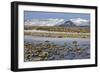 Iceland, Iceland, the South, Moss Padding, Skaftafell, Skaftafell National Park-Bernd Rommelt-Framed Photographic Print