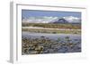 Iceland, Iceland, the South, Moss Padding, Skaftafell, Skaftafell National Park-Bernd Rommelt-Framed Photographic Print