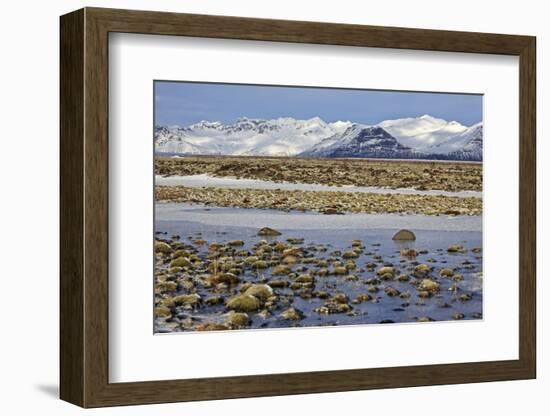 Iceland, Iceland, the South, Moss Padding, Skaftafell, Skaftafell National Park-Bernd Rommelt-Framed Photographic Print