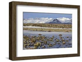 Iceland, Iceland, the South, Moss Padding, Skaftafell, Skaftafell National Park-Bernd Rommelt-Framed Photographic Print