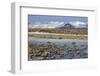 Iceland, Iceland, the South, Moss Padding, Skaftafell, Skaftafell National Park-Bernd Rommelt-Framed Photographic Print