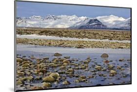 Iceland, Iceland, the South, Moss Padding, Skaftafell, Skaftafell National Park-Bernd Rommelt-Mounted Photographic Print