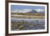 Iceland, Iceland, the South, Moss Padding, Skaftafell, Skaftafell National Park-Bernd Rommelt-Framed Photographic Print