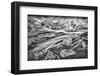 Iceland in winter.-John Ford-Framed Photographic Print