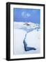 Iceland, Jokulsarlon, a Frozen Lagoon Near by Jokulsarlon-Fortunato Gatto-Framed Photographic Print