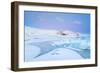 Iceland, Jokulsarlon, a Frozen Lagoon Near by Jokulsarlon-Fortunato Gatto-Framed Photographic Print