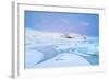 Iceland, Jokulsarlon, a Frozen Lagoon Near by Jokulsarlon-Fortunato Gatto-Framed Photographic Print