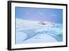 Iceland, Jokulsarlon, a Frozen Lagoon Near by Jokulsarlon-Fortunato Gatto-Framed Photographic Print