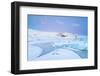 Iceland, Jokulsarlon, a Frozen Lagoon Near by Jokulsarlon-Fortunato Gatto-Framed Photographic Print