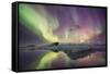 Iceland, Jokulsarlon. Aurora lights reflect in lagoon.-Josh Anon-Framed Stretched Canvas