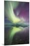 Iceland, Jokulsarlon. Aurora lights reflect in lagoon.-Josh Anon-Mounted Photographic Print