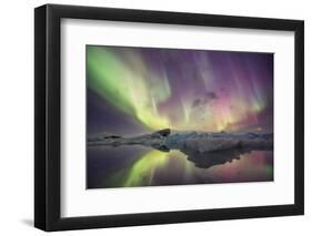 Iceland, Jokulsarlon. Aurora lights reflect in lagoon.-Josh Anon-Framed Photographic Print