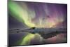 Iceland, Jokulsarlon. Aurora lights reflect in lagoon.-Josh Anon-Mounted Photographic Print