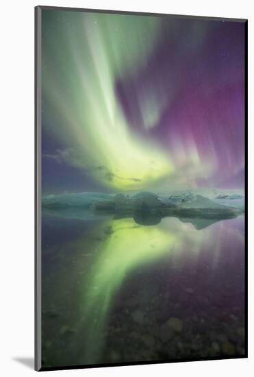 Iceland, Jokulsarlon. Aurora lights reflect in lagoon.-Josh Anon-Mounted Photographic Print