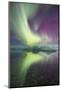 Iceland, Jokulsarlon. Aurora lights reflect in lagoon.-Josh Anon-Mounted Photographic Print