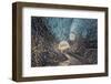 Iceland, Jokulsarlon Glacier-John Ford-Framed Photographic Print