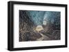 Iceland, Jokulsarlon Glacier-John Ford-Framed Photographic Print