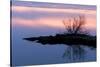 Iceland, Lake Myvatn, Reykjahlio. Sunset reflected in a tundra pond.-Ellen Goff-Stretched Canvas