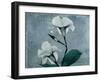 Iceland Mandelilla-Albert Koetsier-Framed Art Print