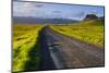 Iceland. Near Skogafoss-Inger Hogstrom-Mounted Photographic Print