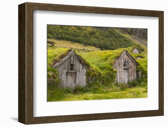 Iceland, Nupsstadur Turf Farmstead. Old homes covered with turf for protection and insulation.-Ellen Goff-Framed Photographic Print