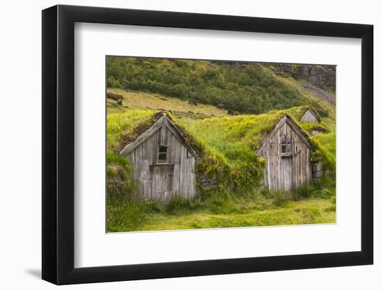 Iceland, Nupsstadur Turf Farmstead. Old homes covered with turf for protection and insulation.-Ellen Goff-Framed Photographic Print