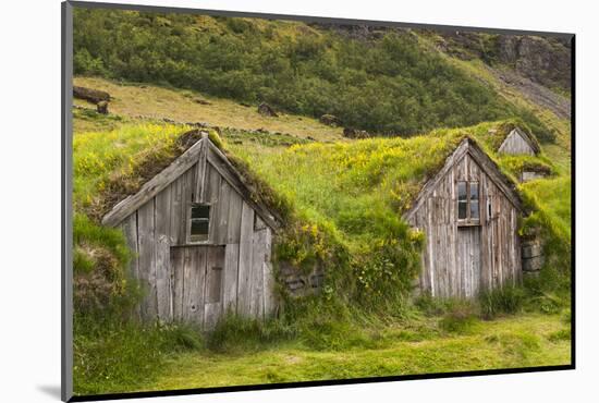 Iceland, Nupsstadur Turf Farmstead. Old homes covered with turf for protection and insulation.-Ellen Goff-Mounted Photographic Print