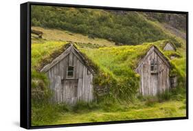 Iceland, Nupsstadur Turf Farmstead. Old homes covered with turf for protection and insulation.-Ellen Goff-Framed Stretched Canvas