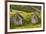 Iceland, Nupsstadur Turf Farmstead. Old homes covered with turf for protection and insulation.-Ellen Goff-Framed Premium Photographic Print