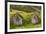 Iceland, Nupsstadur Turf Farmstead. Old homes covered with turf for protection and insulation.-Ellen Goff-Framed Premium Photographic Print