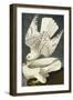 Iceland or Jer Falcon. Gyrfalcon (Falco Rustiocolis), from 'The Birds of America'-John James Audubon-Framed Giclee Print