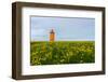 Iceland, Peninsula Reykjanes, Lighthouse-Catharina Lux-Framed Photographic Print