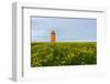 Iceland, Peninsula Reykjanes, Lighthouse-Catharina Lux-Framed Photographic Print