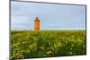 Iceland, Peninsula Reykjanes, Lighthouse-Catharina Lux-Mounted Photographic Print