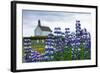 Iceland, Peninsula Reykjanes, Strandarkirka-Catharina Lux-Framed Photographic Print