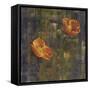 Iceland Poppies I-Carol Black-Framed Stretched Canvas