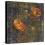 Iceland Poppies I-Carol Black-Stretched Canvas