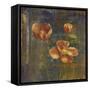 Iceland Poppies II-Carol Black-Framed Stretched Canvas